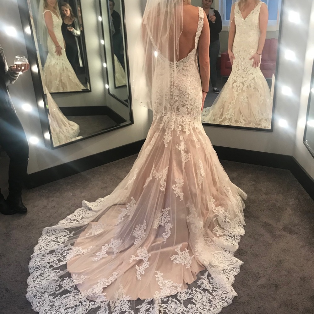 Beautiful wedding dress, champagne underneath with lace and sparkle overlay. - Picture 3 of 12